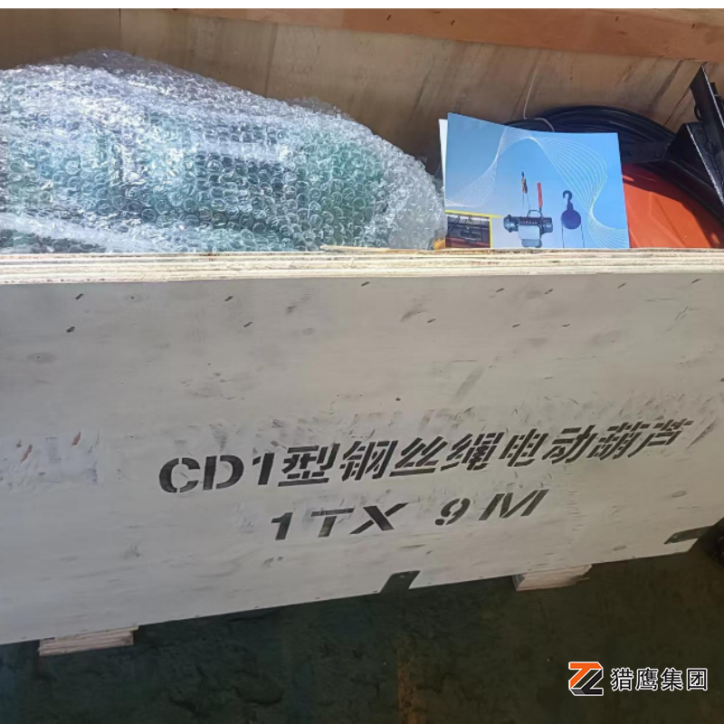 防靜電鋼絲繩電動葫蘆油漆車間專用